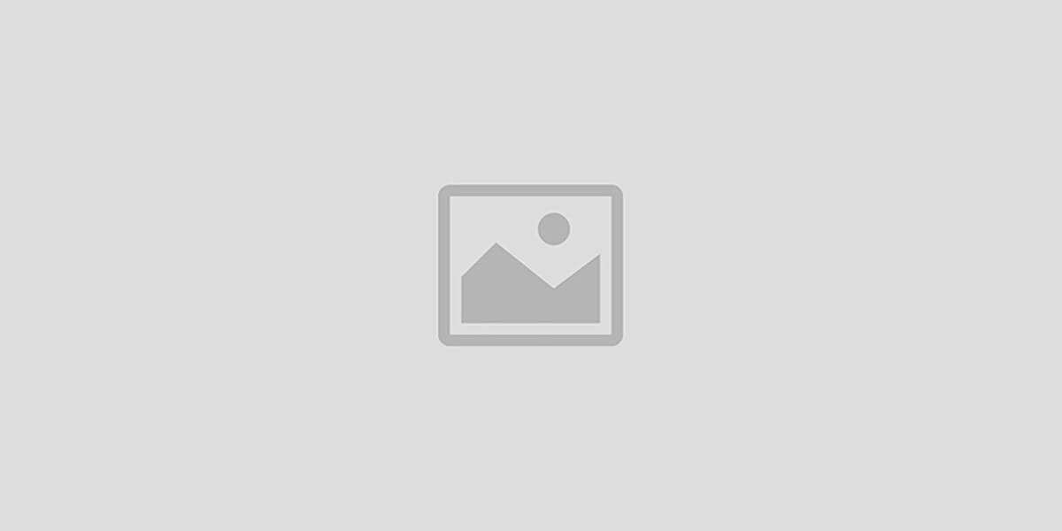 Antonis & Foulis Electronics Ltd